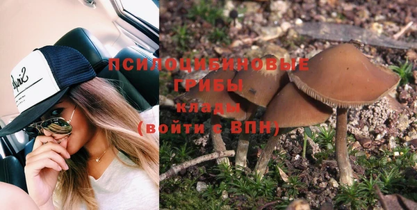 прущие крисы Аркадак