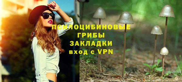 прущая мука Переславль-Залесский